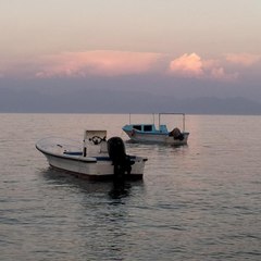 dahabegymo