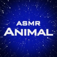 Animal ASMR