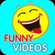 Funny Videos