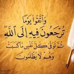 الكاسر المصرى