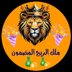 ملك الربح المضمون