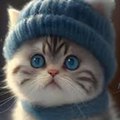 Cats-cute