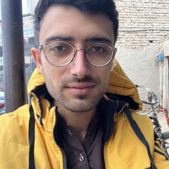 Saifi Vlogs