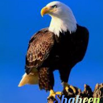 Azhar Abbas