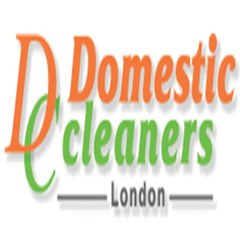 domesticcleaners