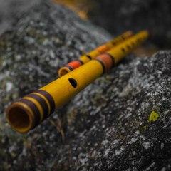 FLUTE WORLD STUDIO