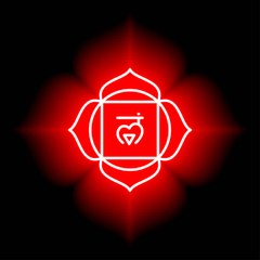 Psychic Mediums React
