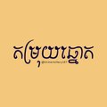 តម្រុយឆ្នោត