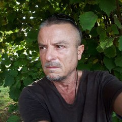 michael de - vris