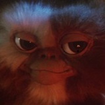 gizmo117