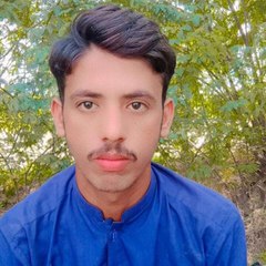 Qurban Ali