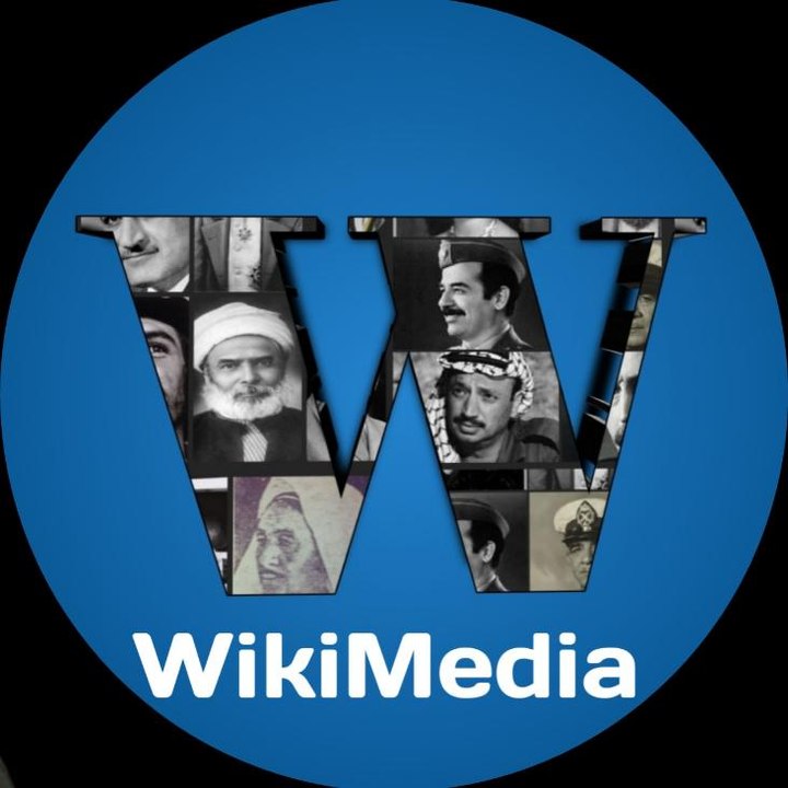 Dailymotion profile picture for @wikimedia