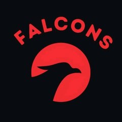 Falcons Factory