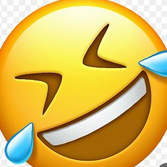 Funny videos