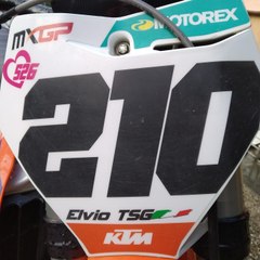 elvio_56