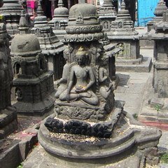 NagDarshan
