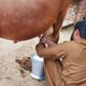 Ali Raza