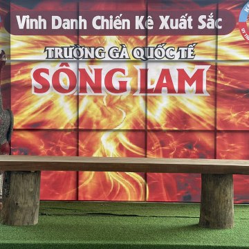 Trường Gà Sông Lam
