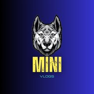 Mini Vlogs