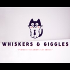 Whiskers & Giggles