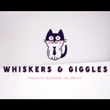 Whiskers & Giggles