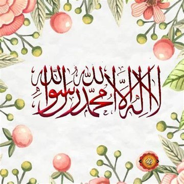 quran tilawat