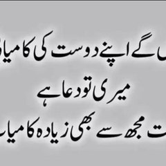 Zalmi Jee