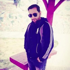 Malik Saib