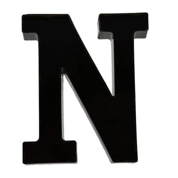 nausheenigp1