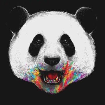 浩 张