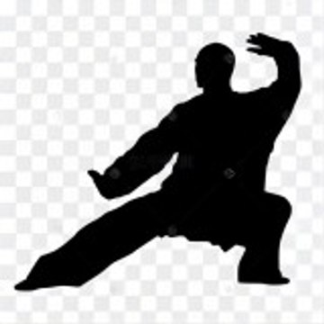Kung Fu Frénésie