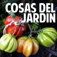 Cosas del Jardin