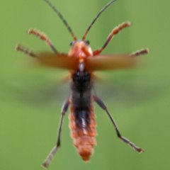 Je ne sais pas quel nom donner à ma chaîne
