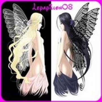 LEPAPILLON08