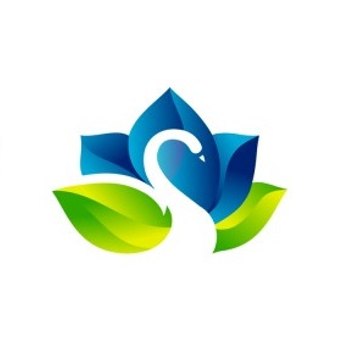 Sharda World school