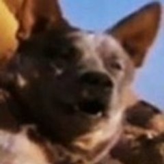 Loäna
