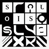 SoulSpark Unlock Your Potential