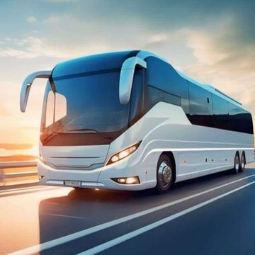 Bus lovers