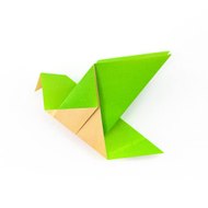 Origami With ASHU