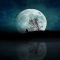 Dream Walker