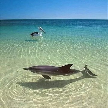 Sea and beach