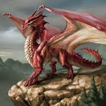 BestVideos2024
