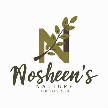 nosheenayan48