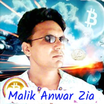 Malik Anwar Zia