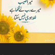 Best Urdu quotes collection