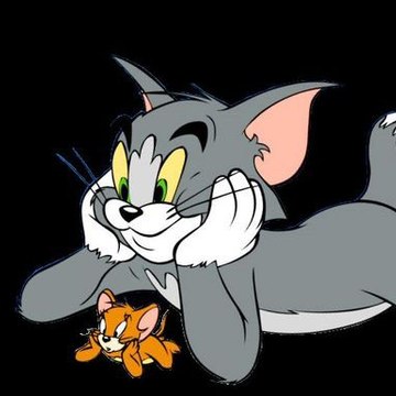 Tom loves jerry