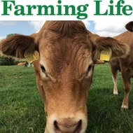 Farming Life