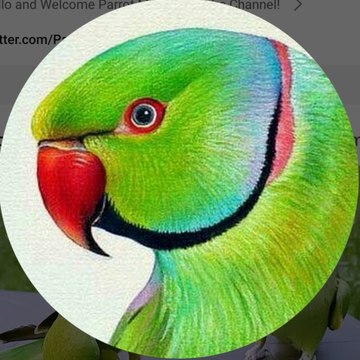 Animals lover