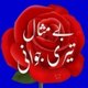 M Lashari