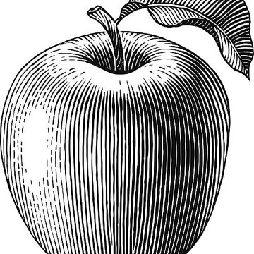 monatahir1643